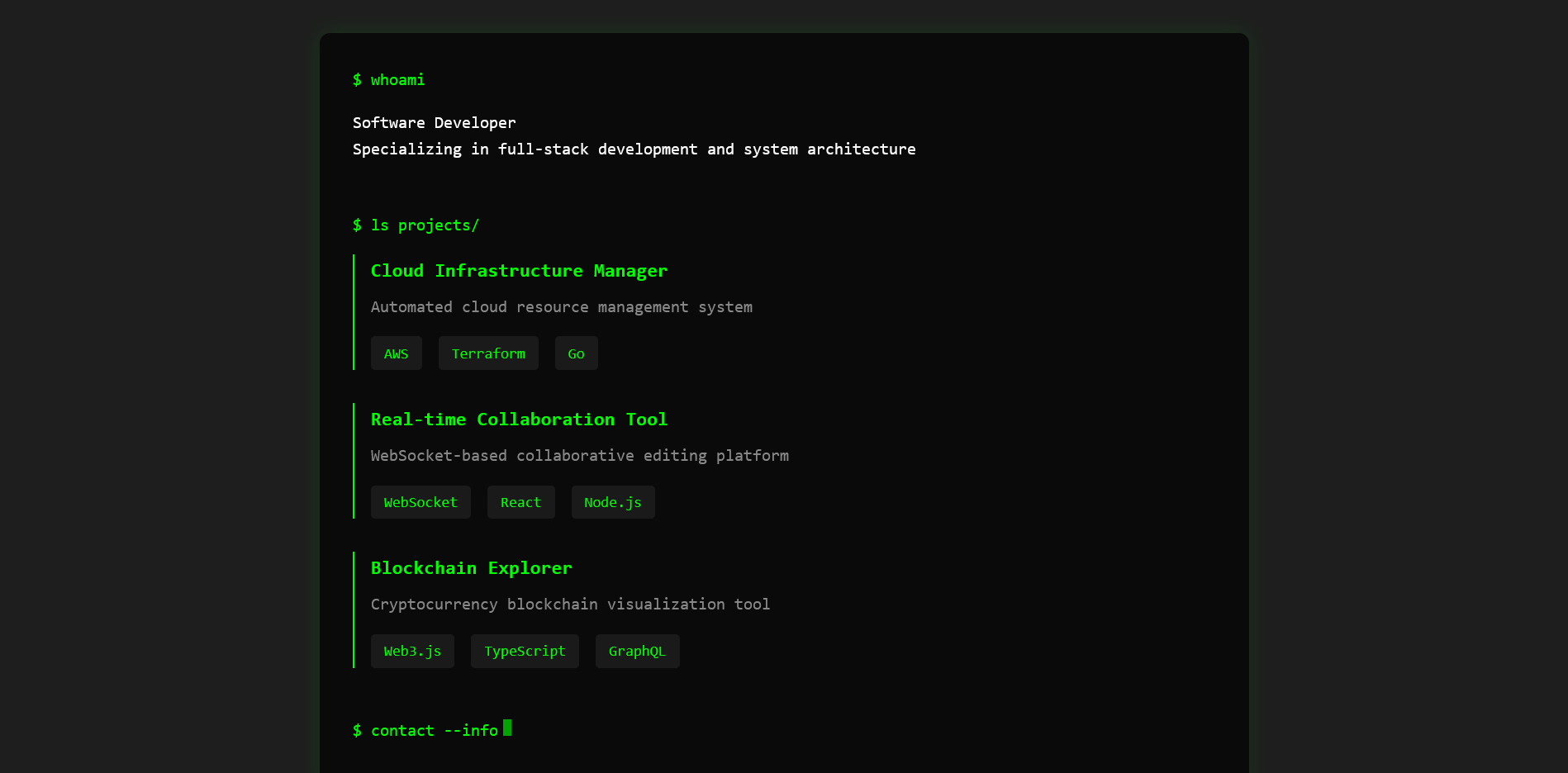 Screenshot of Design 11, a terminal-themed portfolio page